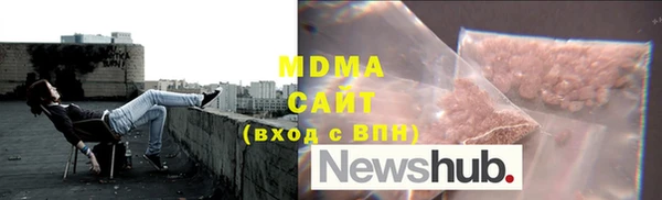 индика Снежногорск