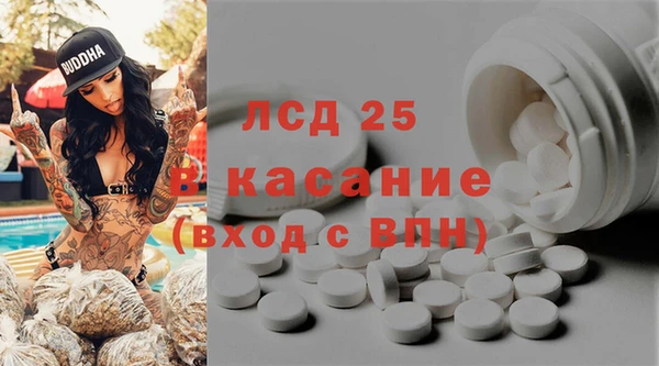 ГАЛЛЮЦИНОГЕННЫЕ ГРИБЫ Абинск