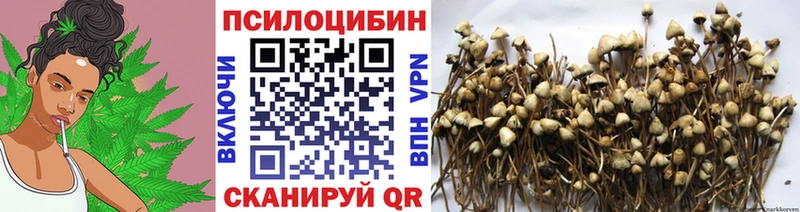 наркотики  Истра  Галлюциногенные грибы прущие грибы 