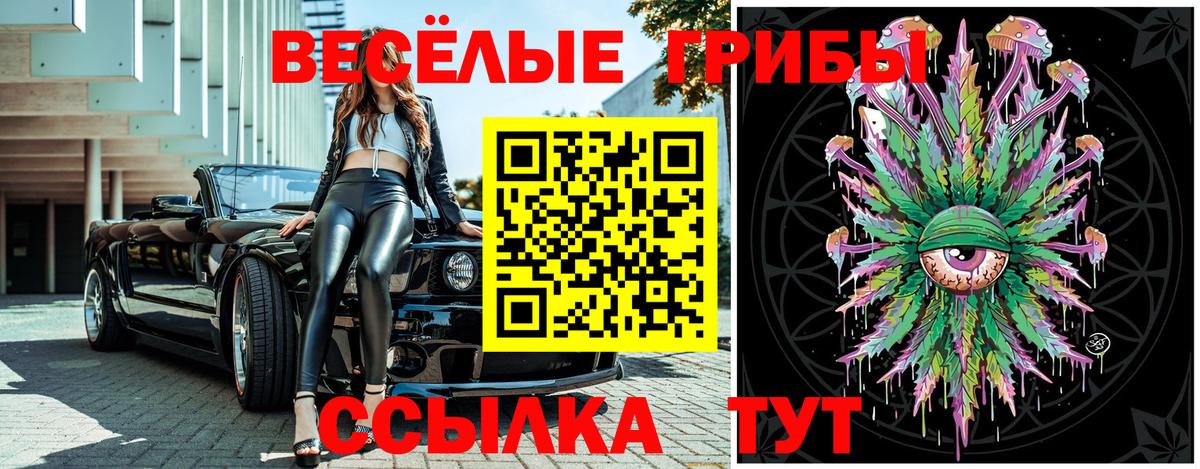 Псилоцибиновые грибы Psilocybe Истра