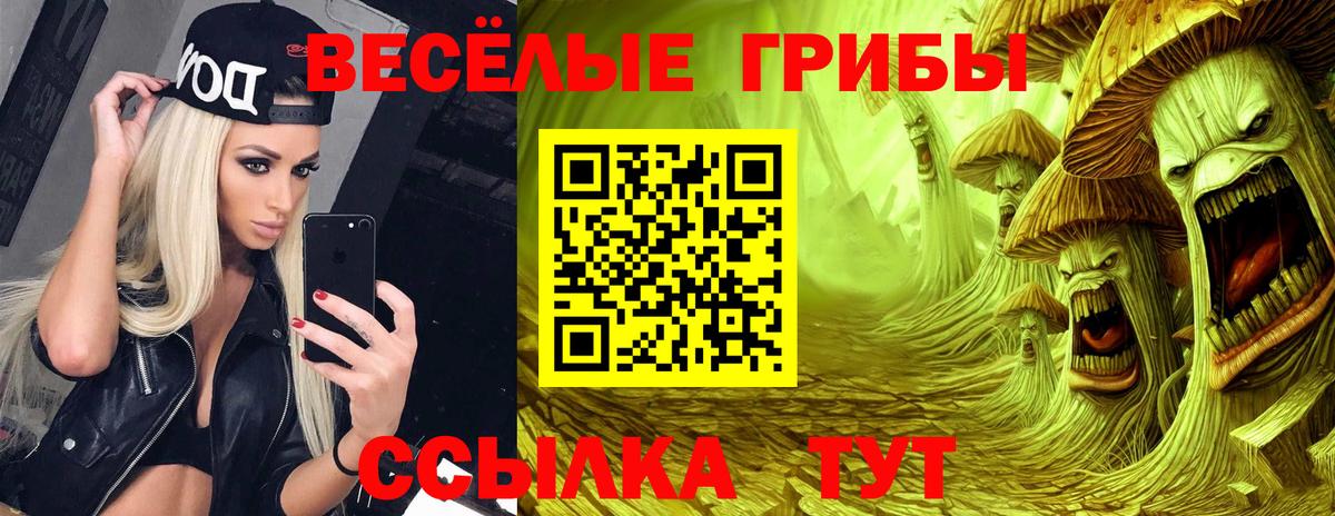 Галлюциногенные грибы Psilocybe  Вход с VPN  Истра 